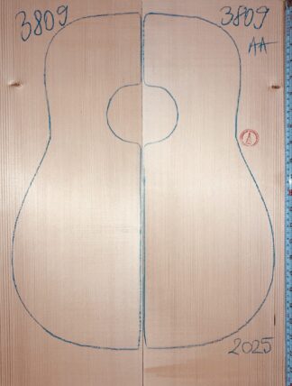Acoustic Guitar No.3809 Top