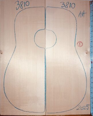 Acoustic Guitar No.3810 Top