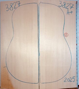 Archtop Guitar No.3827 Top