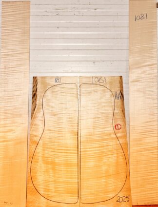 Guitar Acoustic No.1081 Back and Sides