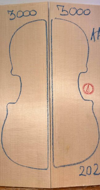 Violin No.3000 Top