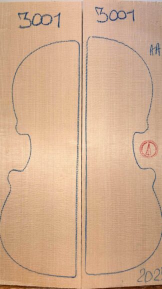 Violin No.3001 Top