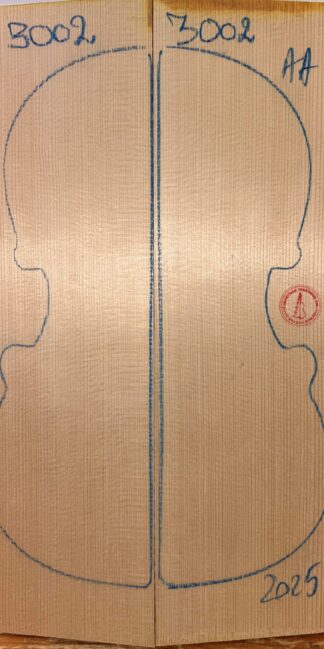 Violin No.3002 Top