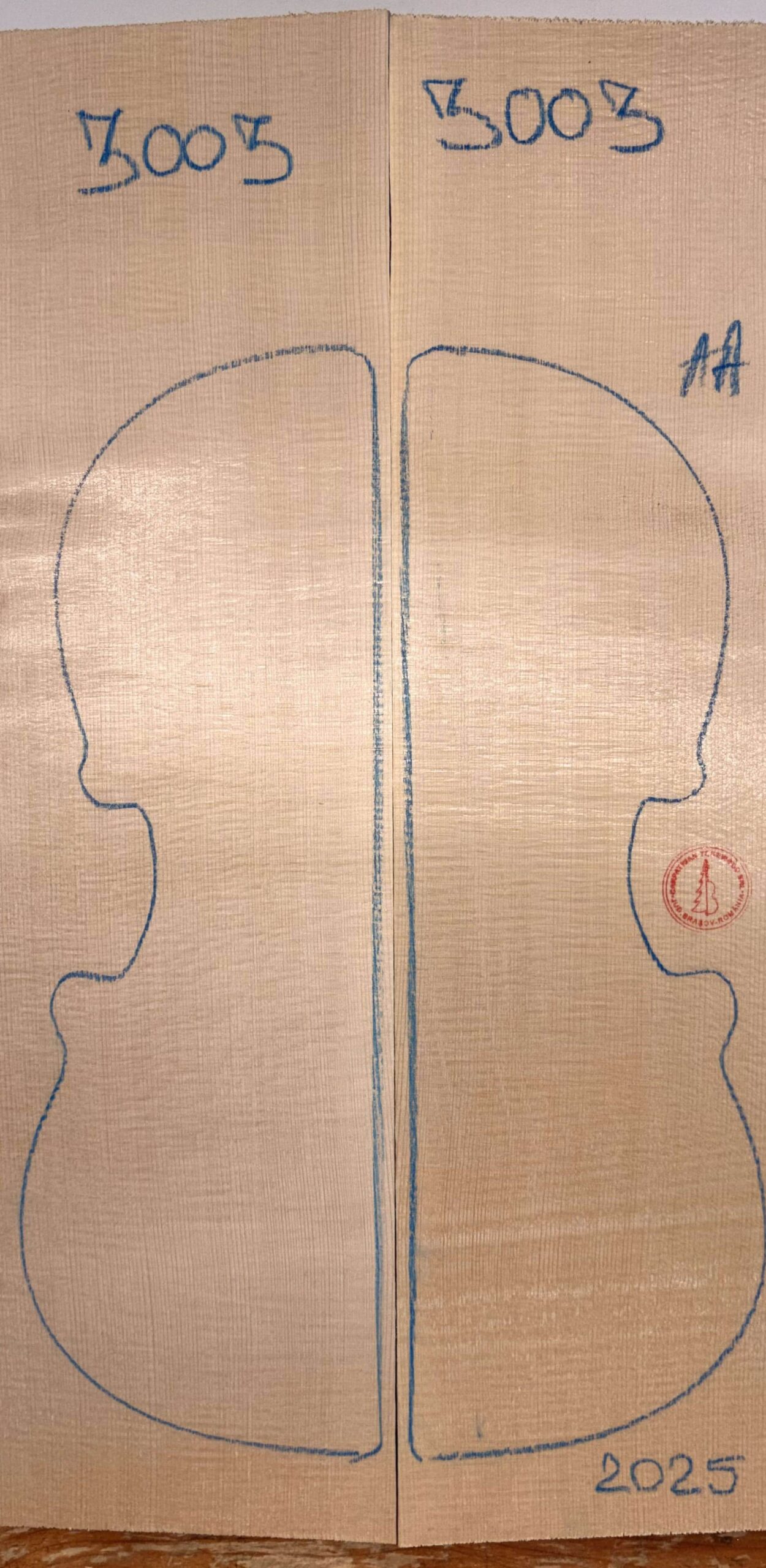 Violin No.3003 Top
