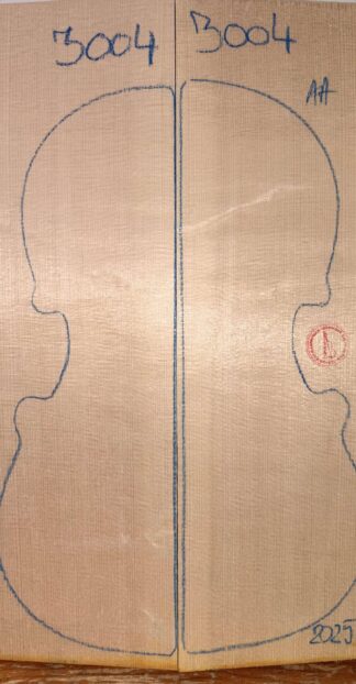 Violin No.3004 Top