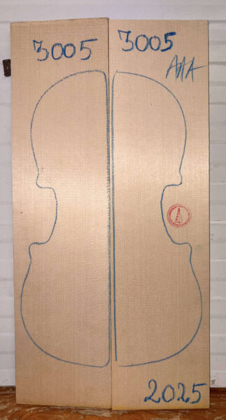 Violin No.3005 Top