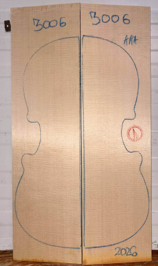 Violin No.3006 Top