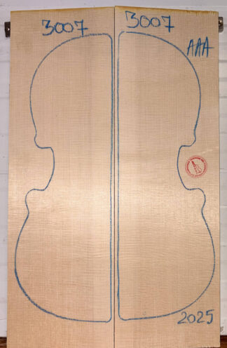 Violin No.3007 Top