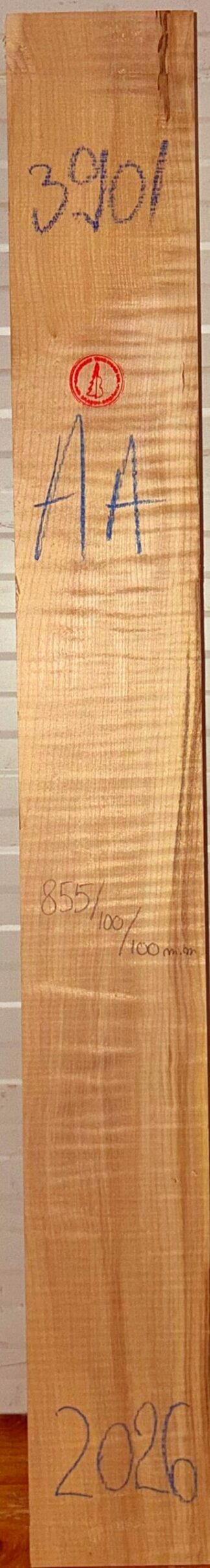 Guitar western No.3901 Neck