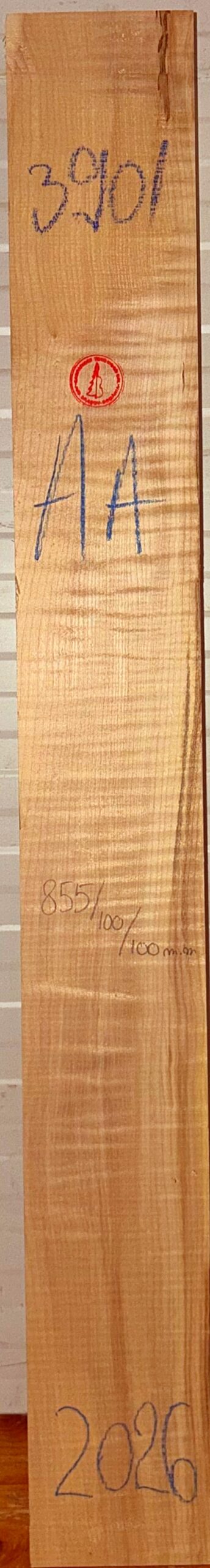 Guitar western No.3901 Neck