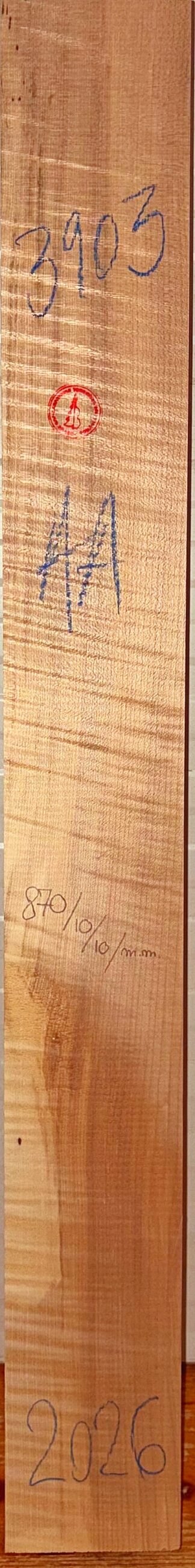 Guitar western No.3903 Neck