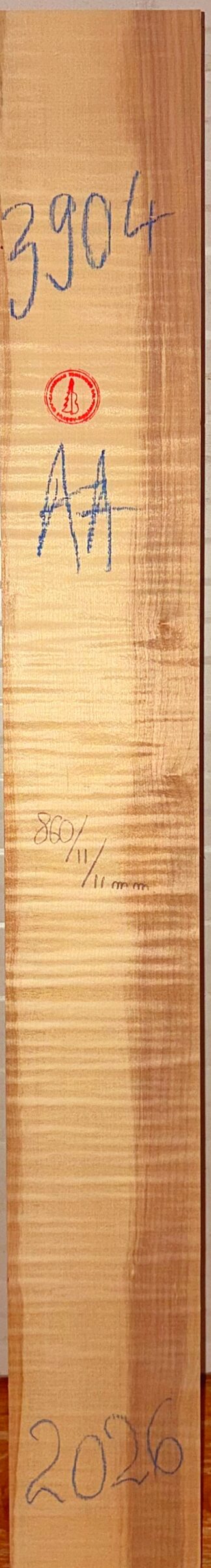 Guitar western No.3904 Neck