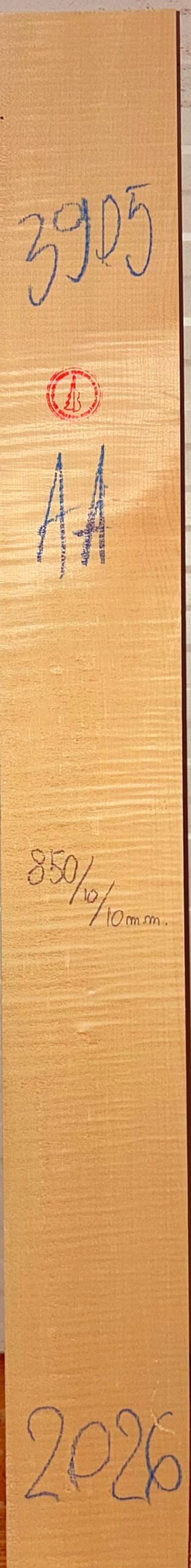 Guitar western No.3905 Neck