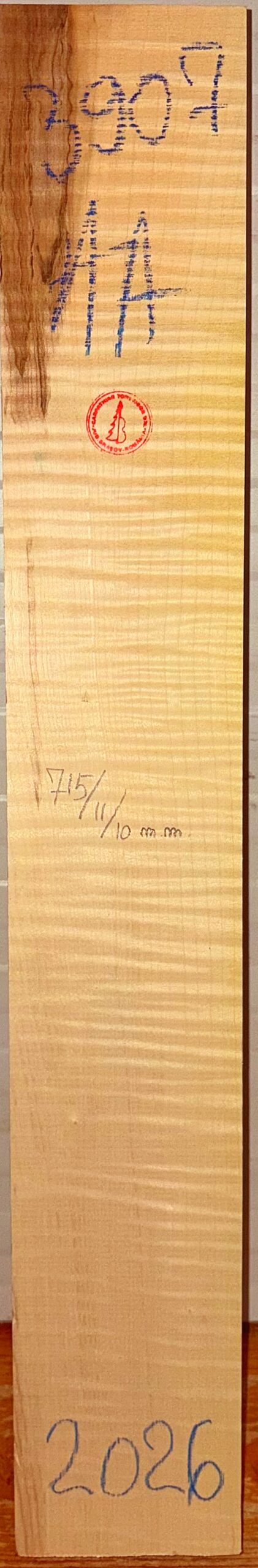 Guitar western No.3907 Neck