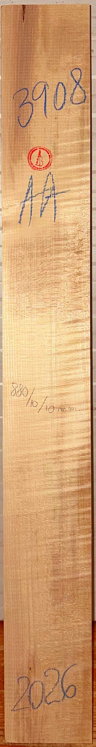 Guitar western No.3908 Neck