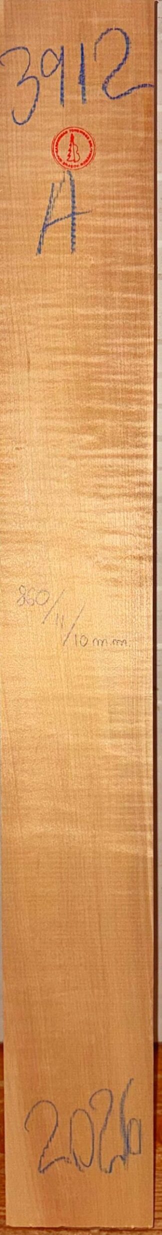 Guitar western No.3912 Neck