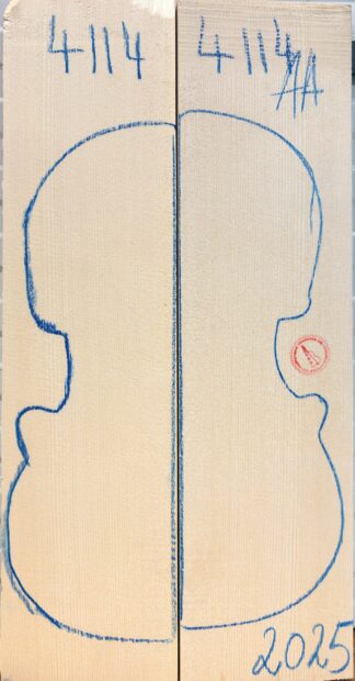 Violin No.4114 Top