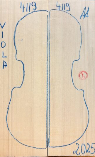 Viola No.4119 Top