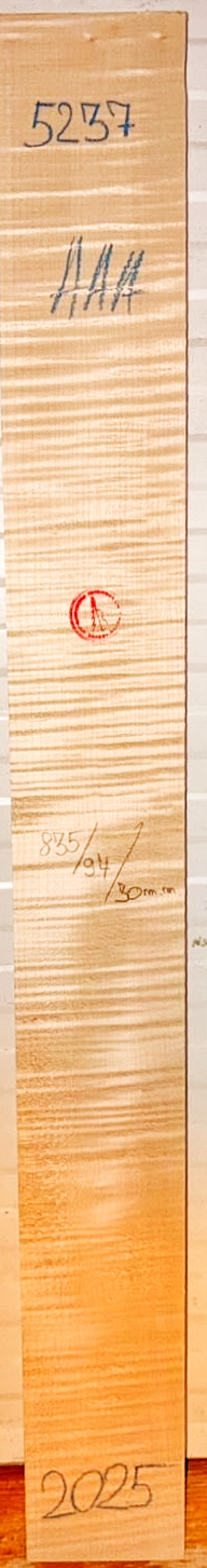 Guitar neck
