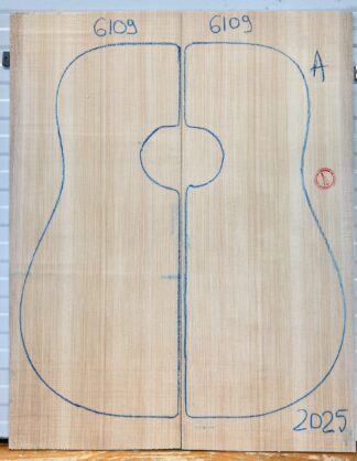 Acoustic Guitar No.6109 Top