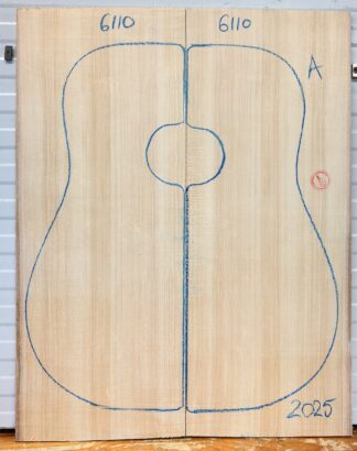 Acoustic Guitar No.6110 Top