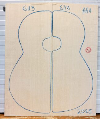 Classical guitar No.6113 Top