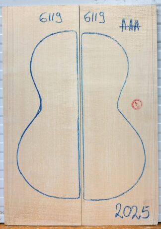 Ukulele/Parlor Guitar No.6119 Top