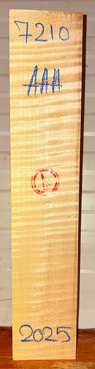 Violin No.7210 Neck