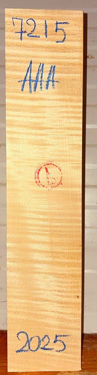 Violin No.7215 Neck