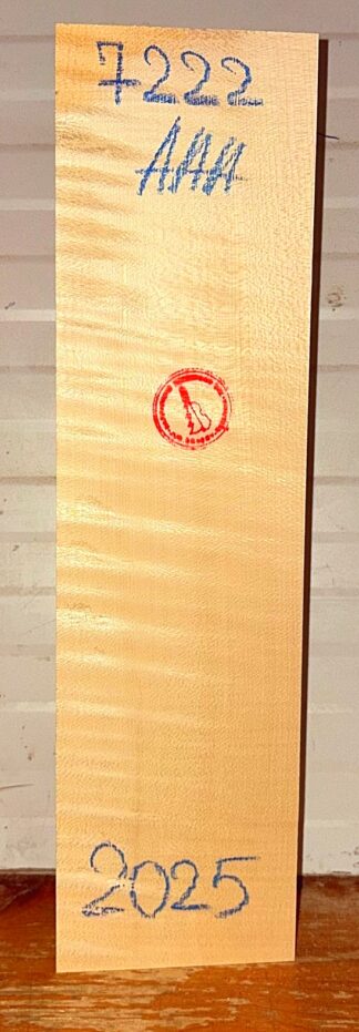 Violin No.7222 Neck