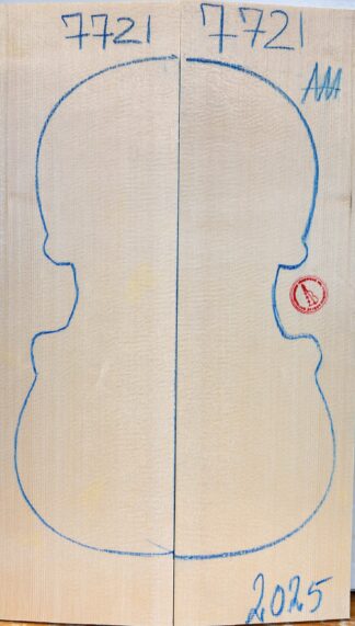 Violin No.7721 Top