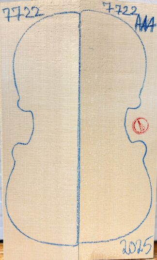 Violin No.7722 Top