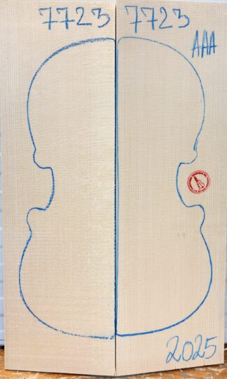Violin No.7723 Top