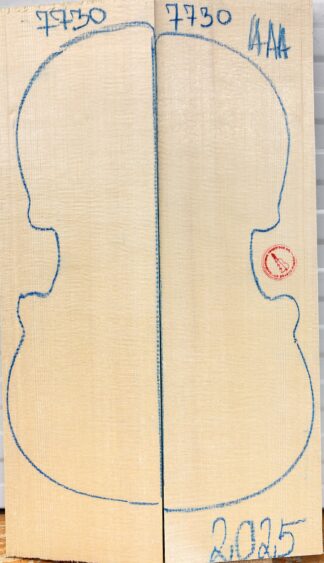 Violin No.7730 Top