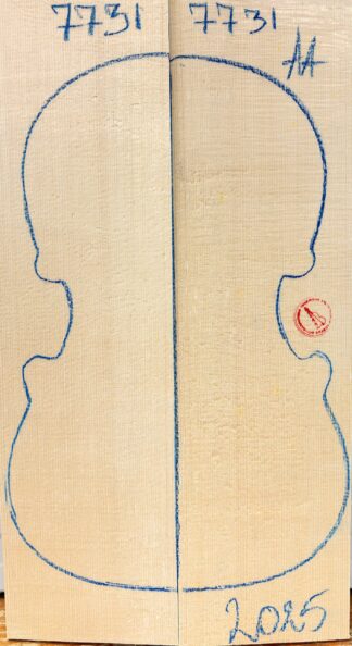 Violin No.7731 Top