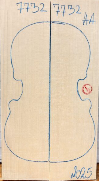 Violin No.7732 Top