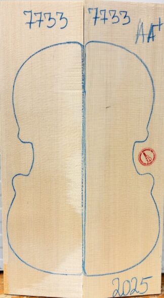 Violin No.7733 Top