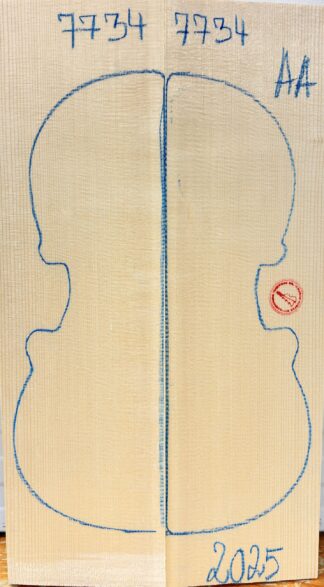 Violin No.7734 Top