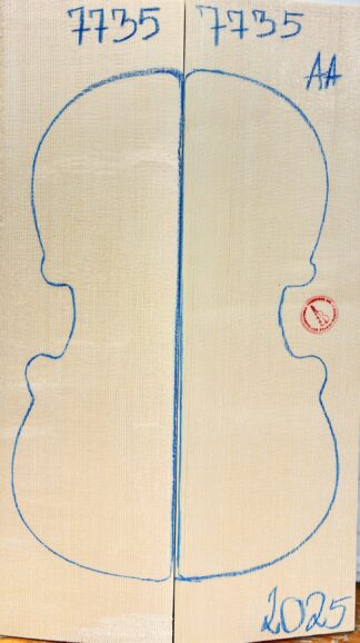 Violin No.7735 Top