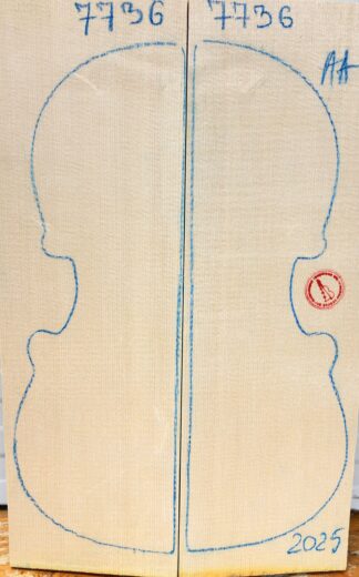 Violin No.7736 Top