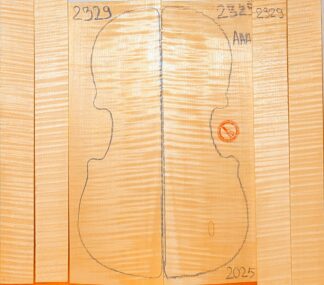 Violin No.2329 Back and Sides