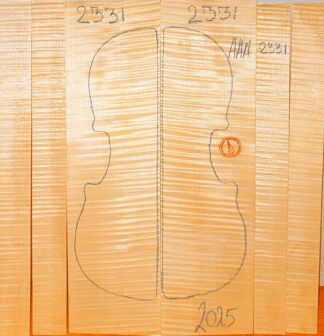 Violin No.2331 Back and Sides