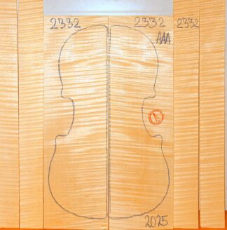 Violin No.2332 Back and Sides