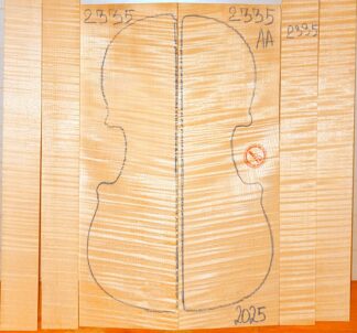 Violin No.2335 Back and Sides