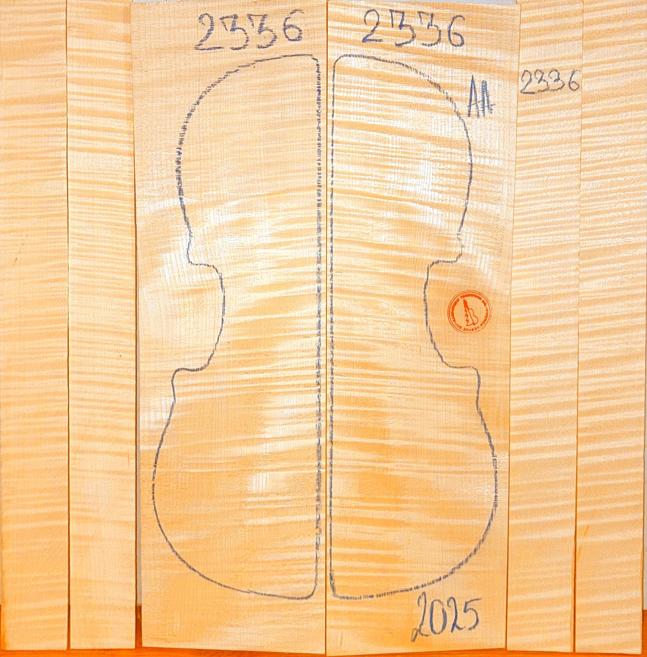 Violin No.2336 Back and Sides