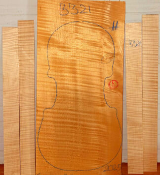 Violin No.3321 One piece Back and Sides