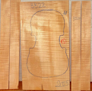 Violin No.3322 One piece Back and Sides