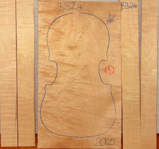 Violin No.3324 One piece Back and Sides