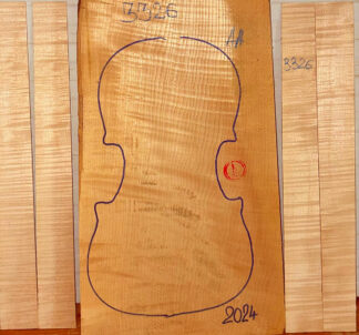 Violin No.3326 One piece Back and Sides