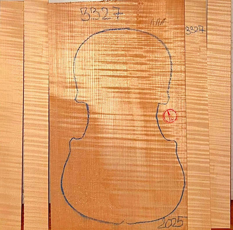 Violin No.3327 One piece Back and Sides